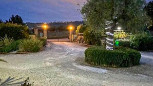 Un camino de grava que lleva a una entrada con puerta y un árbol iluminado con luces.