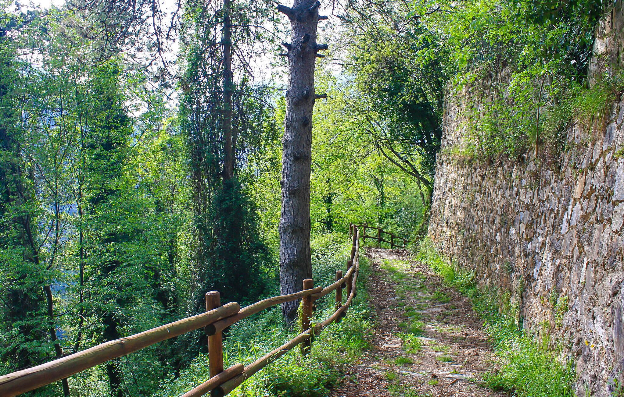 A narrow forest trail with a wooden fence on one side and a rocky cliff on the other.