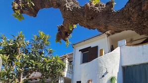Un patio con un árbol, plantas en macetas y un edificio blanco con balcón.
