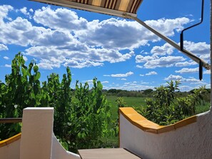 Property grounds - House with garden and pool "Els Muntanyans" Torredembarra. (Torredembarra)