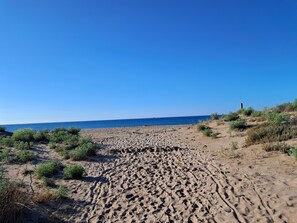 En la playa, camastros y toallas de playa 