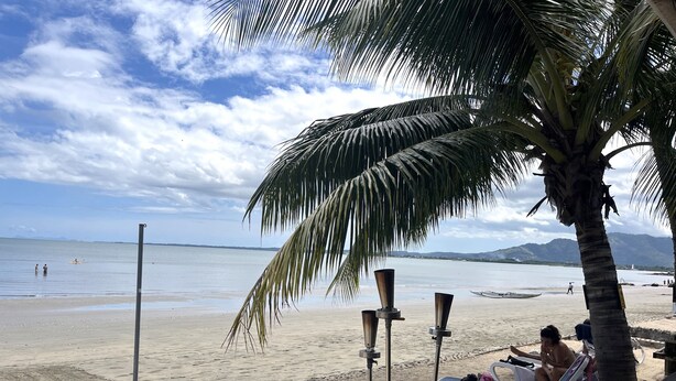 Une plage avec des chaises longues, un palmier et une mer calme.