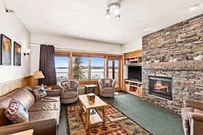 Smart TV, fireplace, books
