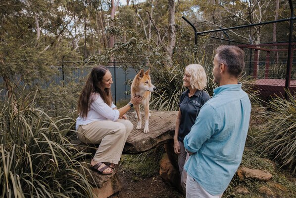 A group of people interacting with a dog in a natural setting with trees and rocks.