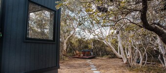 Tiny Wombat  -  Dural