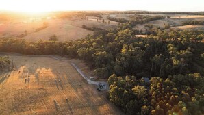 Une vue aérienne d’un paysage rural, avec des champs, des arbres et un chemin de terre.