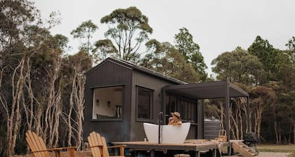 Tiny Lola - Jervis Bay