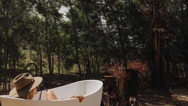 Eine Badewanne inmitten eines bewaldeten Gebiets mit Bäumen und einem Holzstumpf in der Nähe.