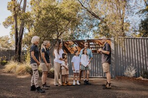 Terrein van de accommodatie