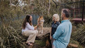 Áreas de la propiedad