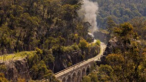 Un pont ferroviaire sur lequel passe un train, entouré d’une forêt dense.