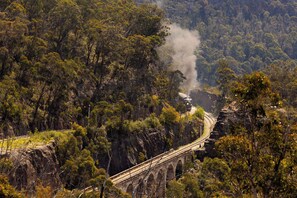 Miscellaneous - Tiny Billy - Blue Mountains (Clarence)