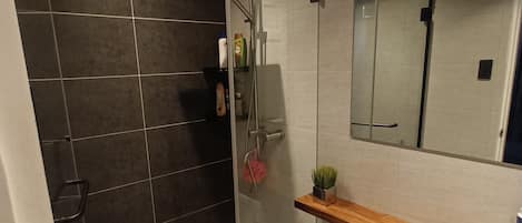 Shower, hair dryer, bidet, towels