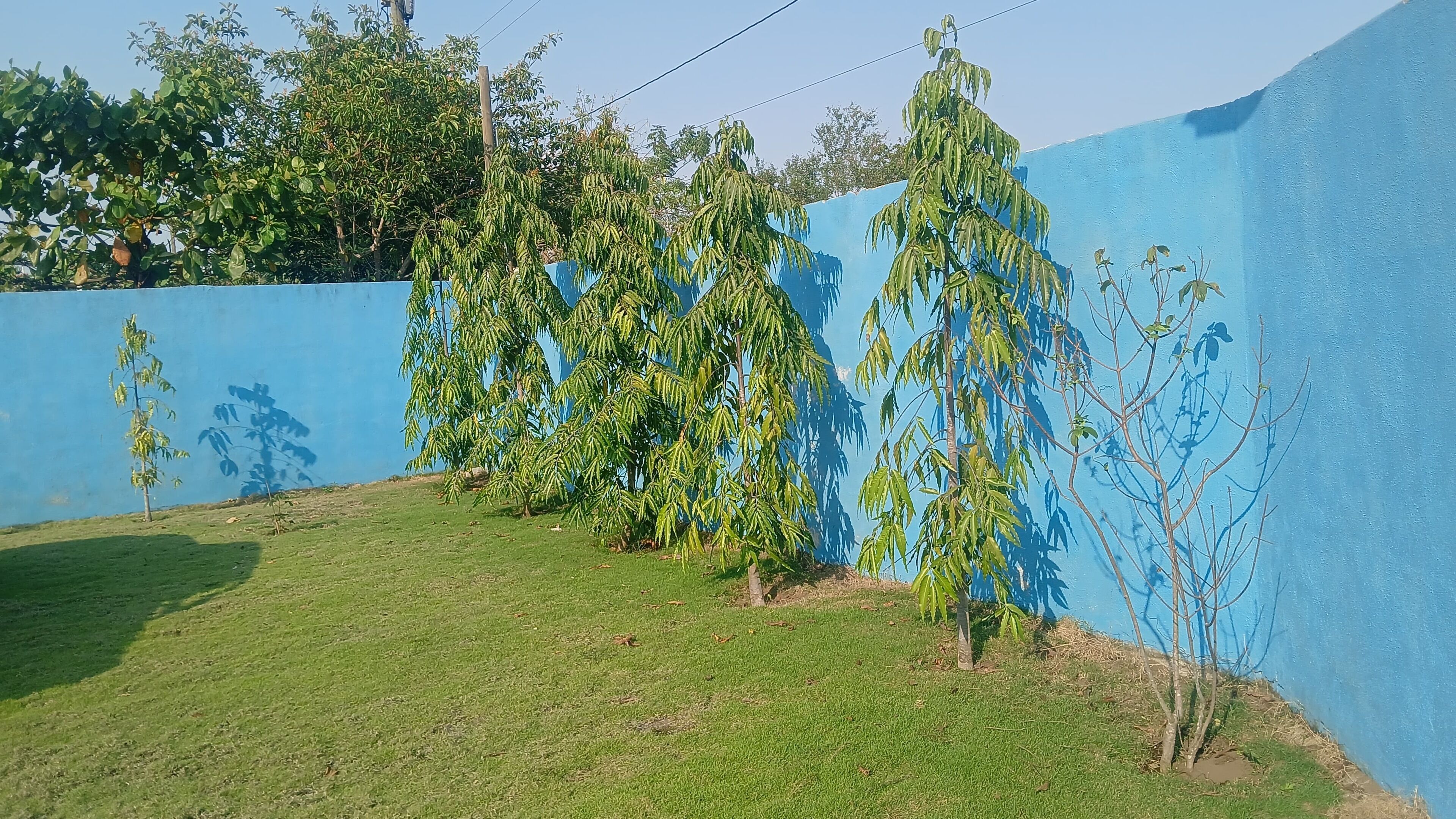 Àrea exterior de l'allotjament