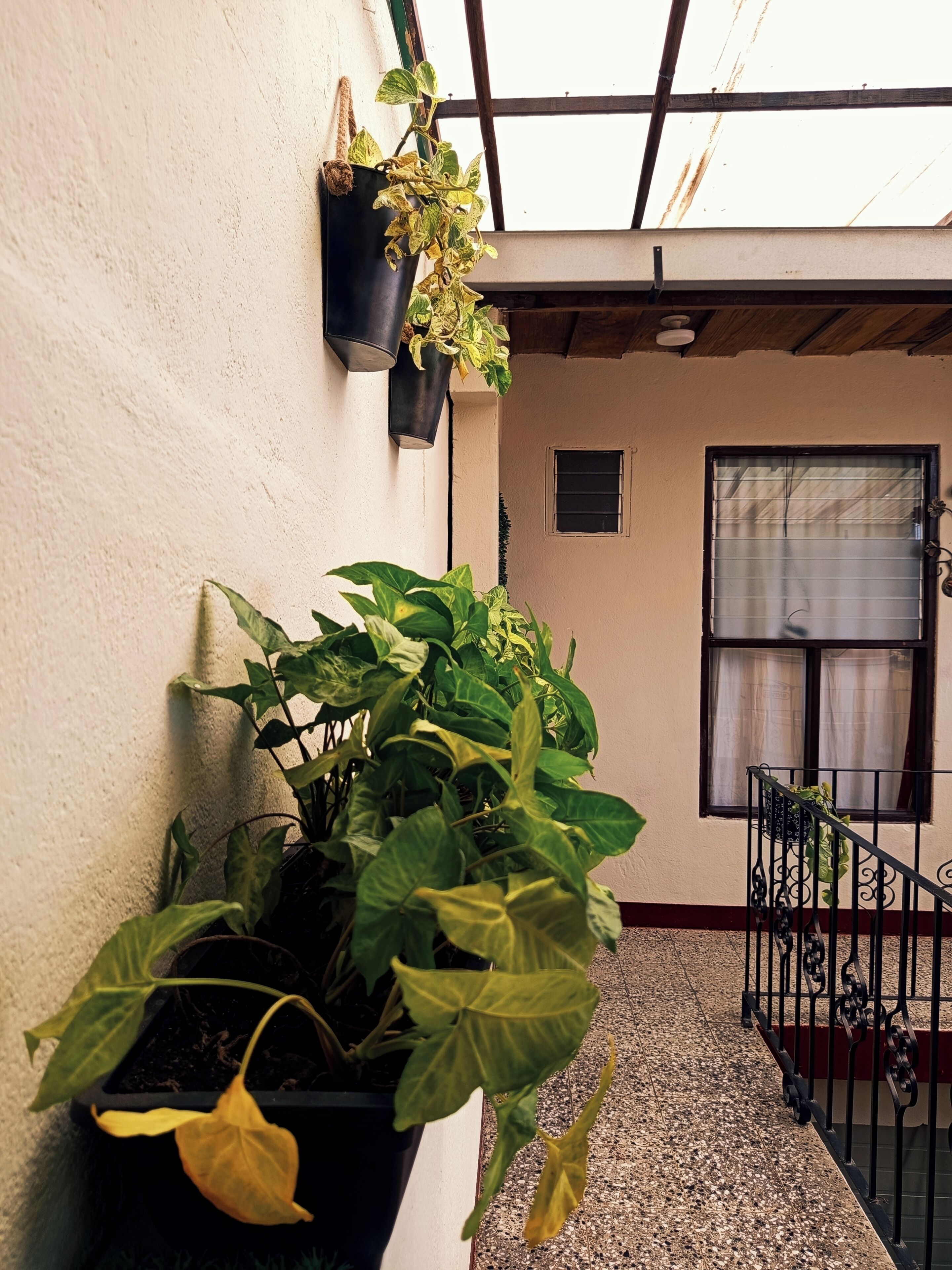 Exterior detail