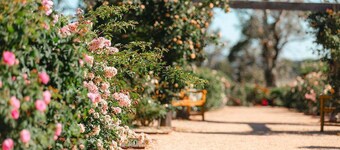 Doris Studio | Saumarez Homestead