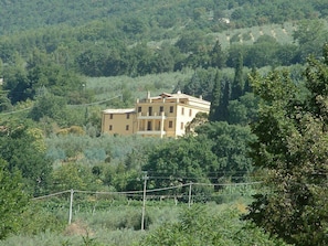 A two-story building with a flat roof, surrounded by dense greenery and trees.