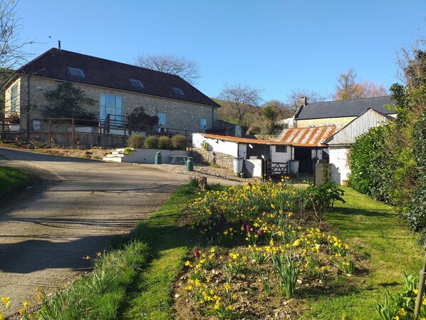 A rural house with a dirt driveway, a garden with yellow flowers, and a stone wall.