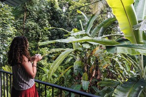 A person standing on a balcony with a view of lush greenery and banana plants. - SERENE HOME (Kandy)
