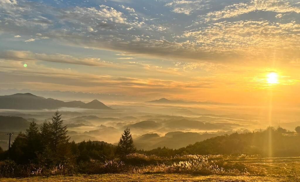 A mountainous landscape with a sunrise or sunset, trees, and a clear sky.