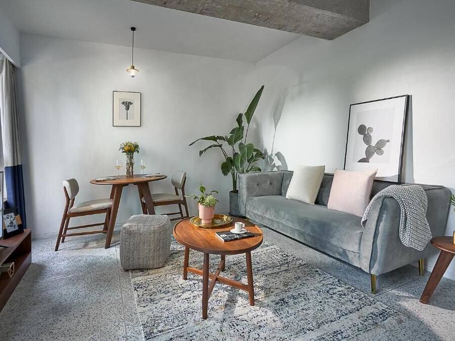 A modern living room with a grey sofa, a coffee table, a dining table with chairs, a TV, and a large plant.