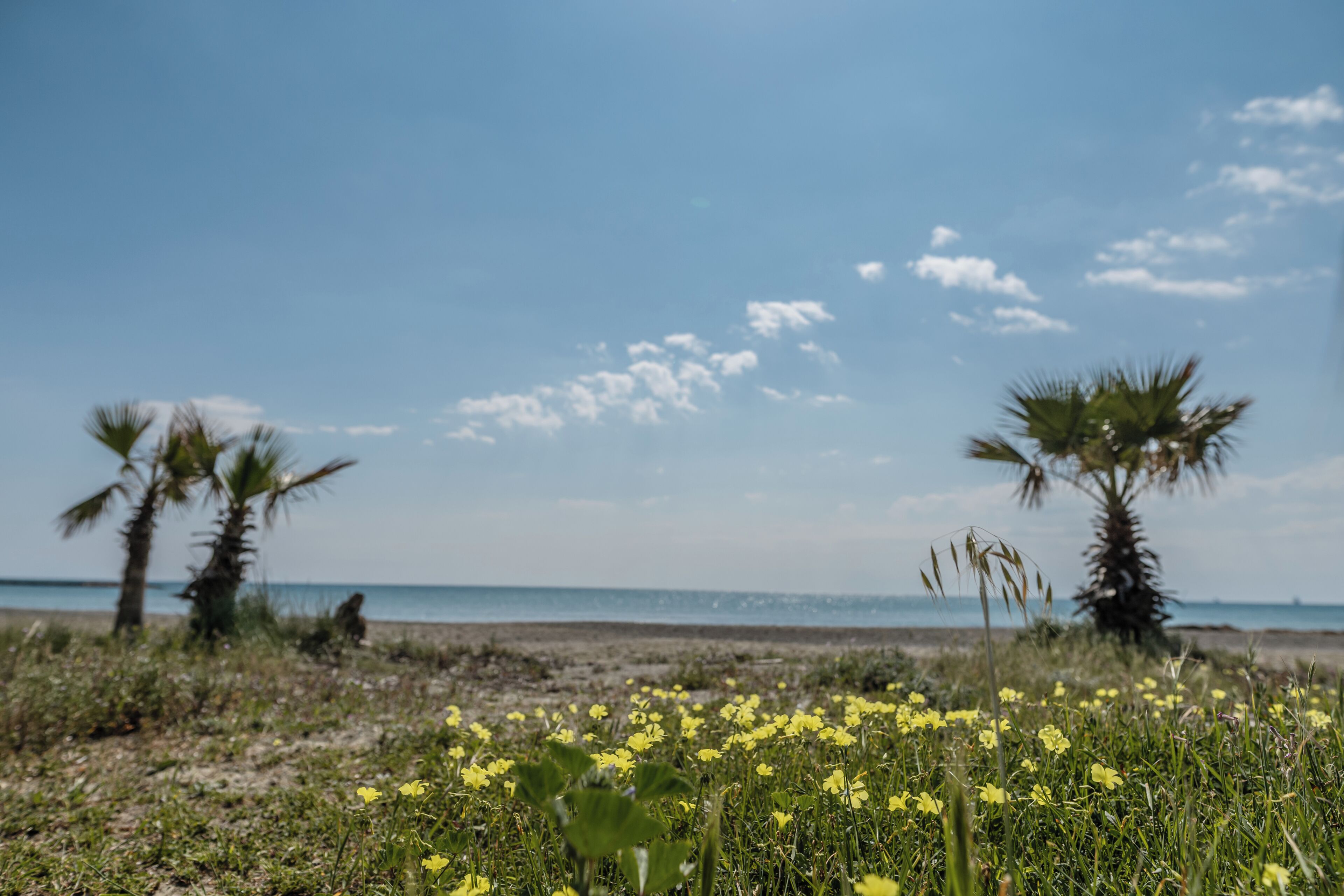 Apartment, Balcony, Sea View | Beach