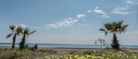 Apartment, Balcony, Sea View | Beach