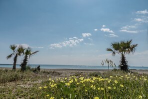 A beach with yellow flowers, palm trees, and a clear sky. - Beach Escape Apartment (Pyla)