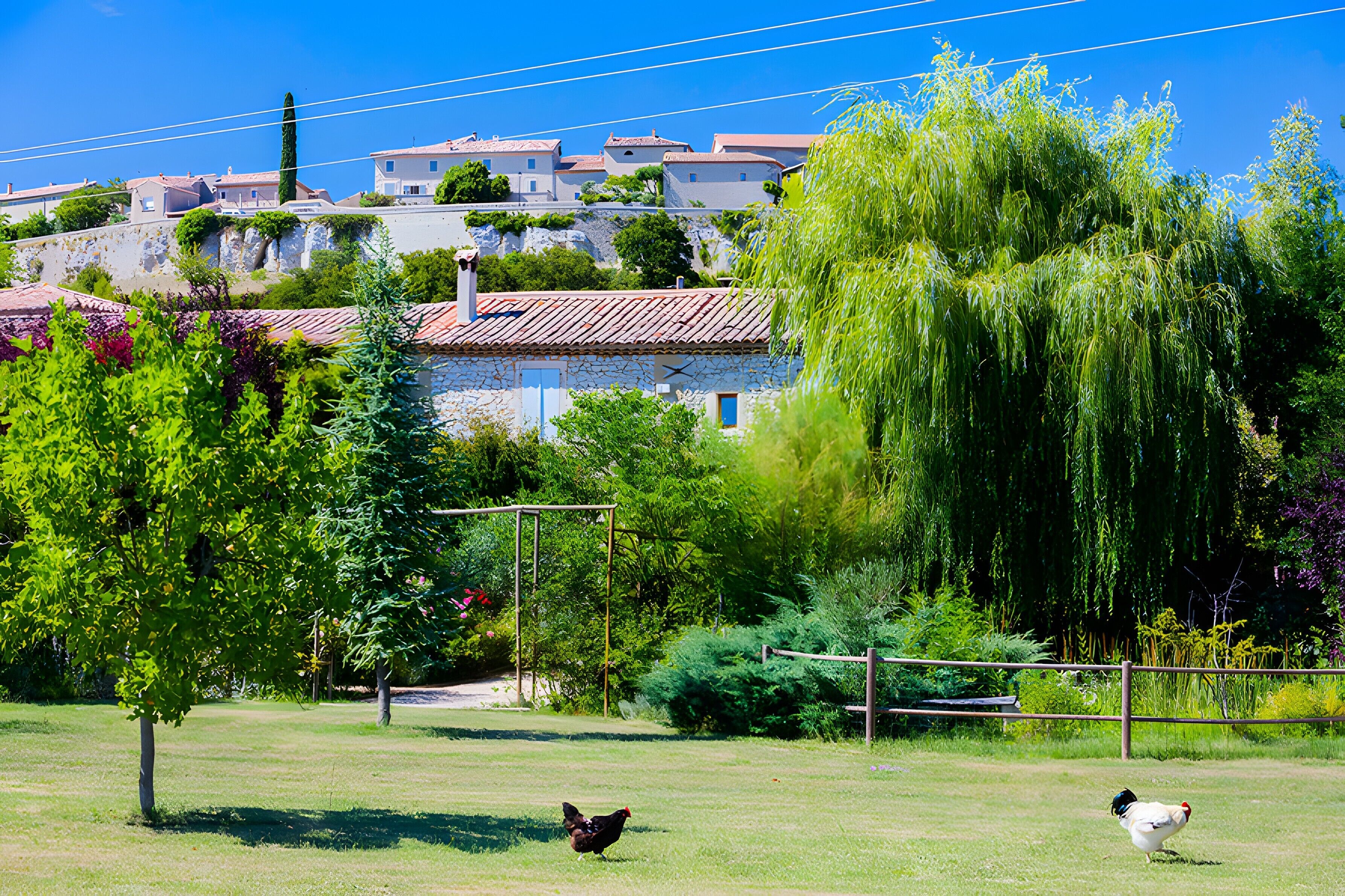 Overnatningsstedets område