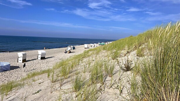 Een strand met witte ligstoelen en een grasduin.
