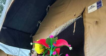 River View Cafe & Camping