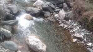 A rocky stream with clear water, surrounded by large boulders and sparse vegetation. - River View Cafe & Camping (Jibhi)