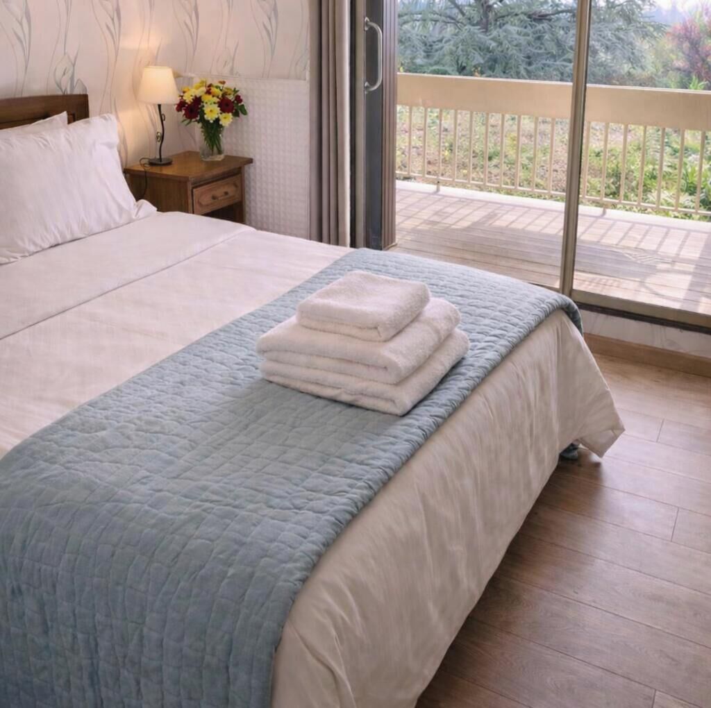 1 chambre, fer et planche à repasser, draps fournis