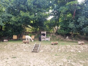 Property grounds - "Retro" Dome _ Alpacas and Starry Nights (Belsentes)