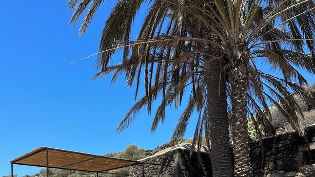 Ett utomhusområde med stenmurar, en säng, en träpergola och en palm.