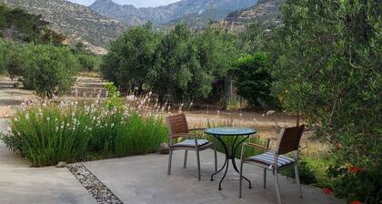 Charming vacation apartment just a stone's throw from Agia Fotia beach