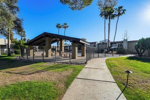Property grounds - Pool Access & Private Patio! Prime Arcadia Condo (Phoenix)