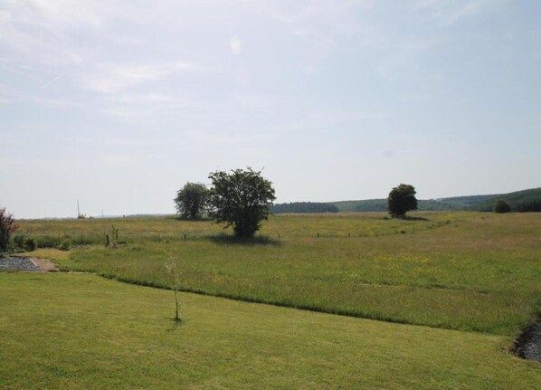 A grassy field with a single tree and a fence in the foreground. - Spacious 11-bed Family Retreat (Ruiselede)