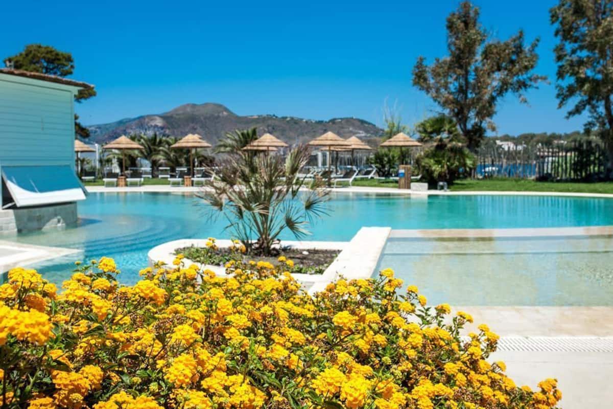 Una piscina con sillas de descanso y sombrillas, rodeada de flores amarillas y una montaña al fondo.
