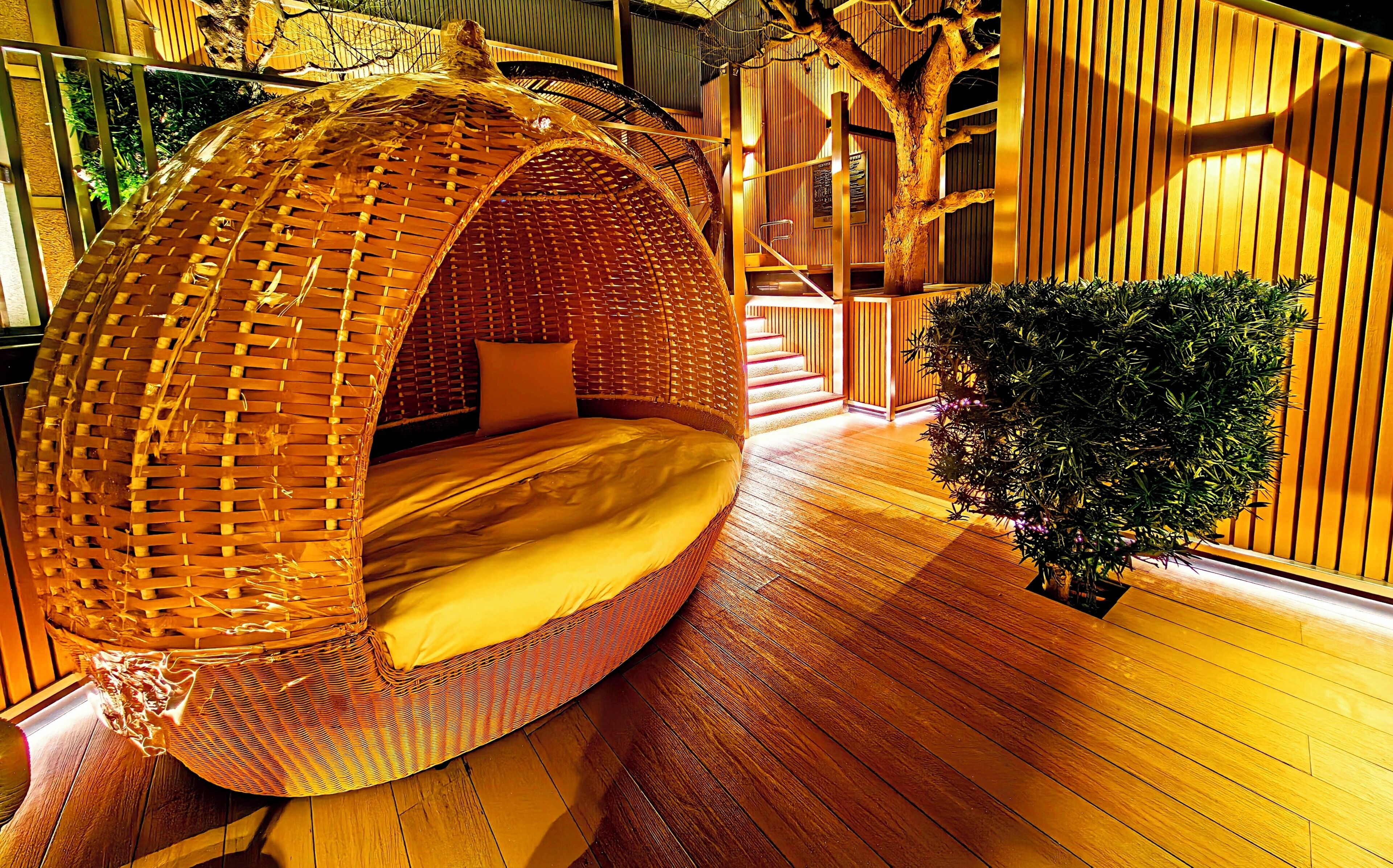 A room with a large woven hanging chair, a staircase, and a potted plant.