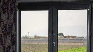 Ein Fenster mit Blick auf ein grünes Feld und entfernte Gebäude.