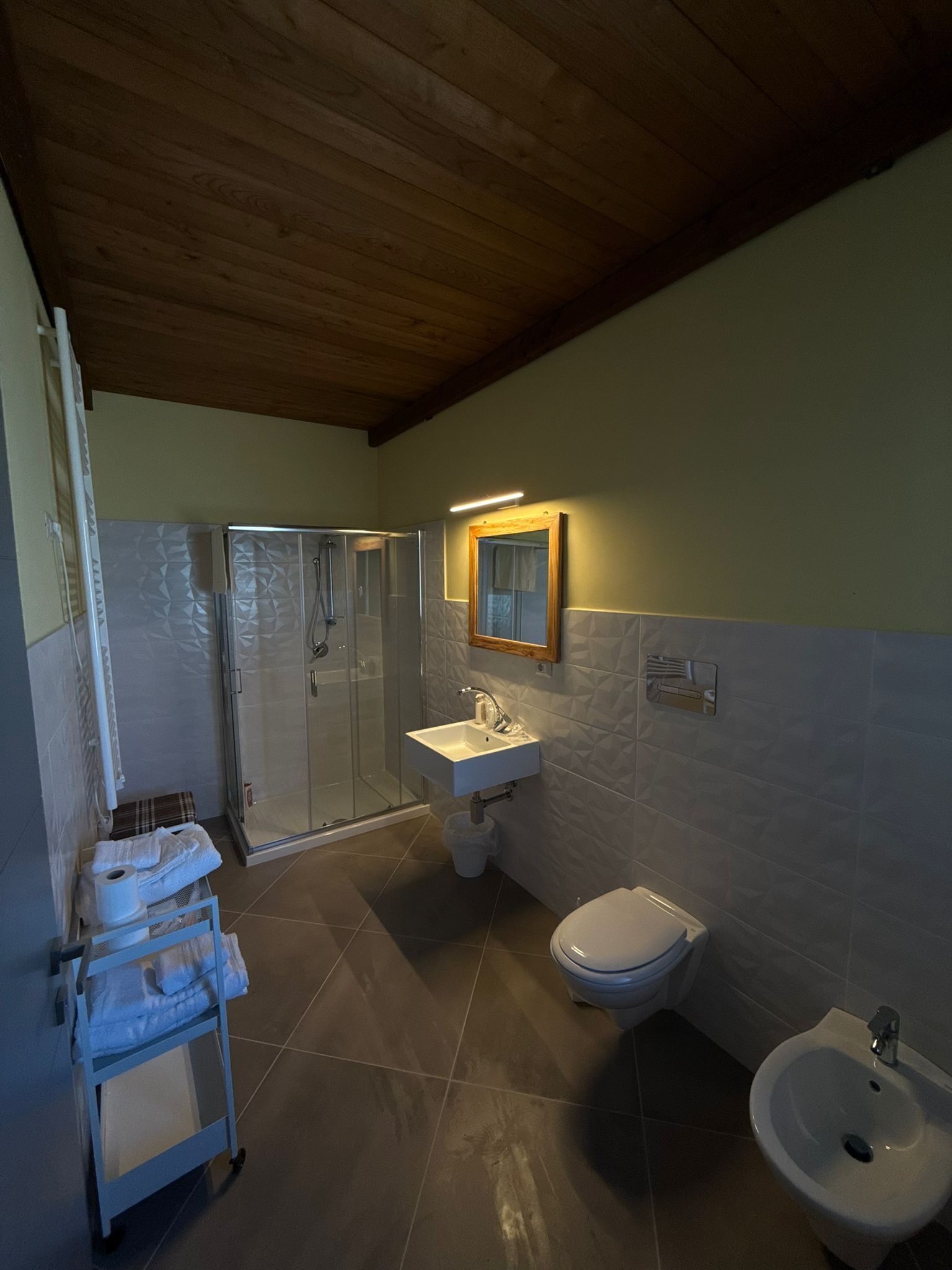 A modern bathroom with a shower, toilet, bidet, and a sink.