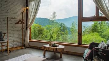 Superior Twin Room, Mountain View