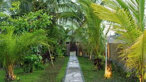 A pathway flanked by lush greenery and palm trees, leading to a wooden structure. - Suasana Harmonis Private Villa (Ubud)