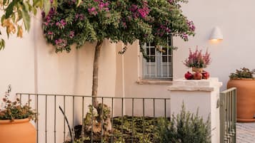 Un pati amb un arbre en test, un petit jardí i una tanca de metall.