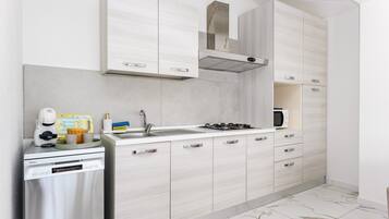 Fridge, microwave, stovetop, dishwasher
