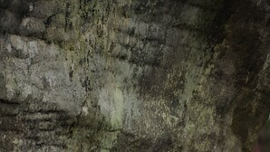Eine Person erklimmt eine große Felsformation in bewaldetem Gelände.