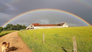 Ländliche Landschaft mit einem Bauernhaus, einem Feldweg und einem Hund.