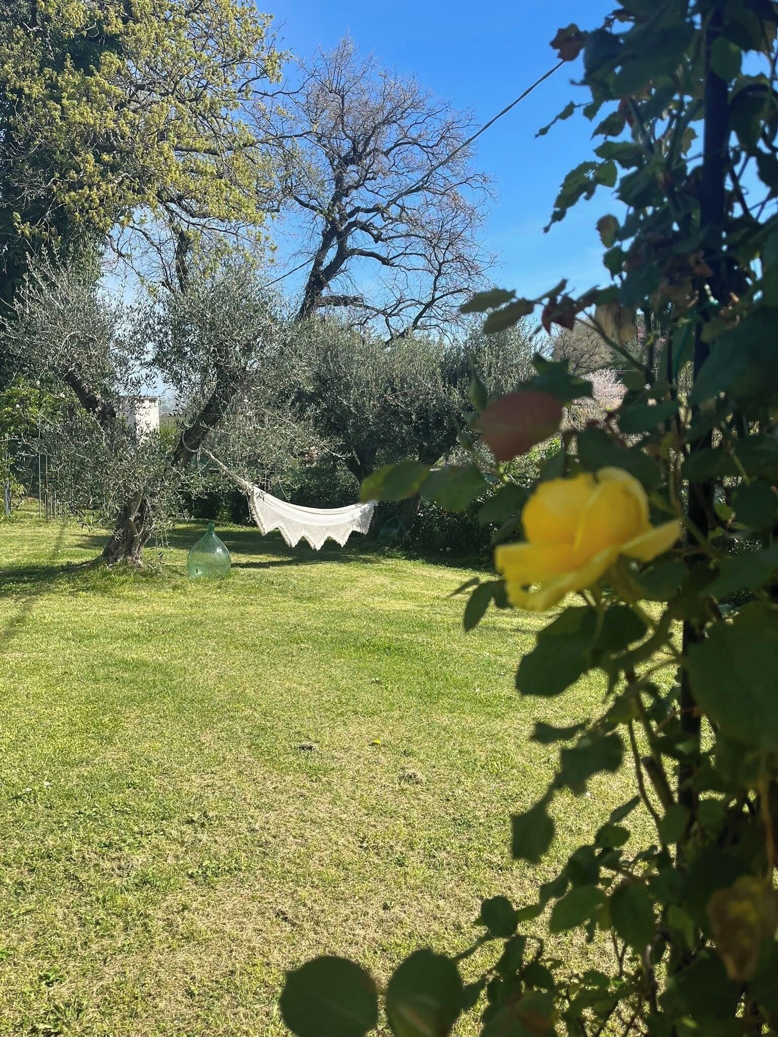 Un espace extérieur verdoyant, avec des arbres et une structure décorative blanche.