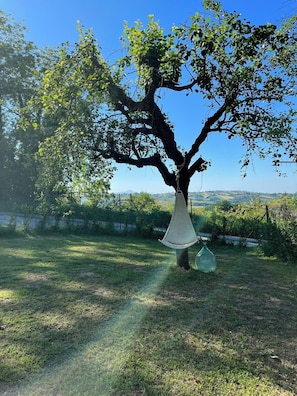 Ein Baum, an dem eine Hängematte hängt, ein Rasenbereich und ein Zaun im Hintergrund.